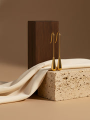 Golden Drop Hook Earrings