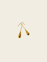 Golden Drop Hook Earrings