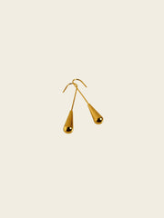 Golden Drop Hook Earrings